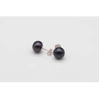 Large black AAA freshwater pearl studs with sterling silver posts