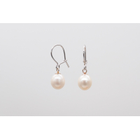 White oval freshwater pearl earrings with secure silver hooks
