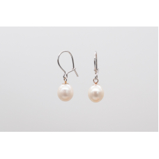 White oval freshwater pearl earrings with secure silver hooks