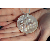 Seashell Necklace