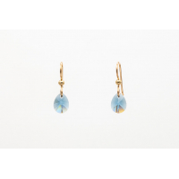 Swarovski Smoked Sapphire kristālu auskari ar Gold Filled āķīšiem