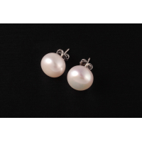 Classic Freshwater Pearl Earrings with Silver Studs