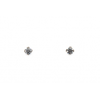 Swarovski Pure Brilliance Cirkonija auskari, sudrabs